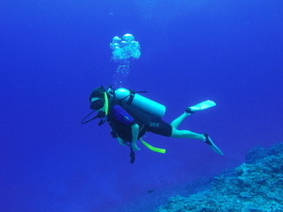 Fototapeta na wymiar diving in Niue