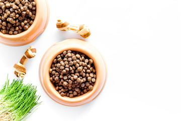 large bowl of pet - dog food with toy and plant on white background top view mockup
