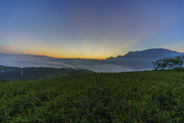 Sunrise with oblique light of the famous and beautiful Daylily flower at sixty Stone Mountain