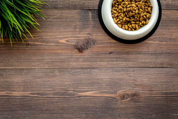 pet care with food on wooden background top view space for text