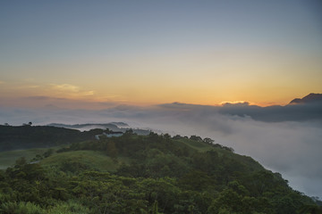 Fototapeta premium Sunrise with cloud sea of the famous and beautiful Daylily flower at sixty Stone Mountain