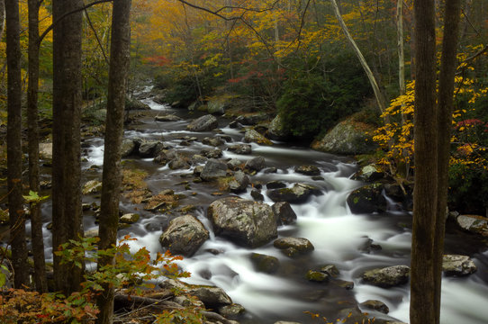 Little Pigeon River In Autumn At Great Smoky Mountains National Park