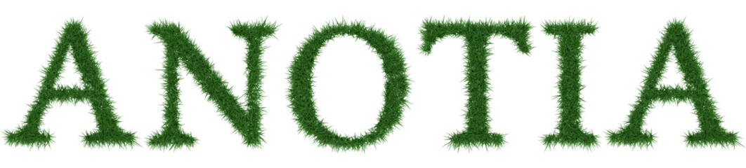 Anotia - 3D rendering fresh Grass letters isolated on whhite background.