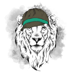 Portrait of lion in cap. Vector illustration.