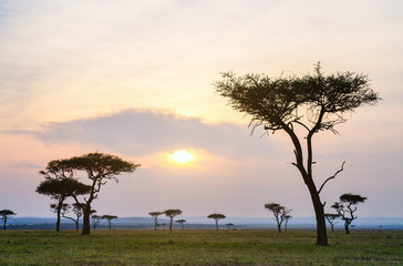 Fototapeta na wymiar Masai Mara at sunset