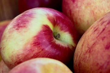 Jazz apples