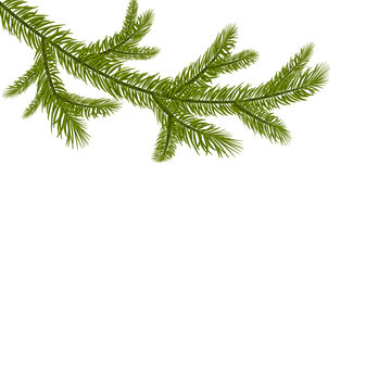 Symbol of the New Year. A green branch of spruce. Isolated against white background. illustration