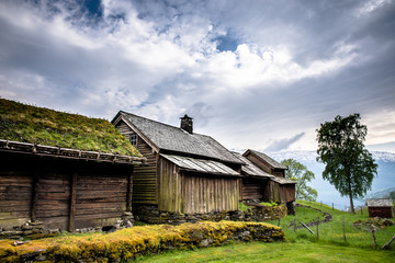 Wooden house with moss on roof