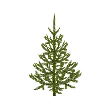 Symbol of the New Year. An image of a beautiful green fir without a mesh and a gradient. Isolated on white background. illustration