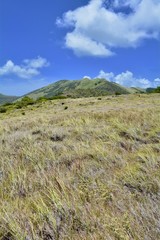 Fototapeta na wymiar Saint Martin Sint Maarten Mountains