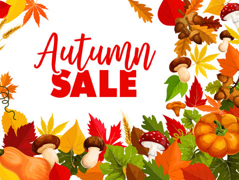 Autumn sale, fall season discount offer poster