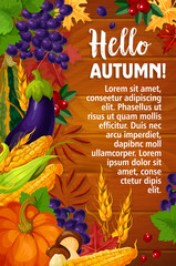 Autumn or Hello Fall vector poster of foliage harvest