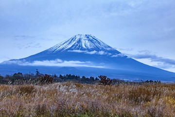 夕暮れ時の富士山、静岡県朝霧高原にて