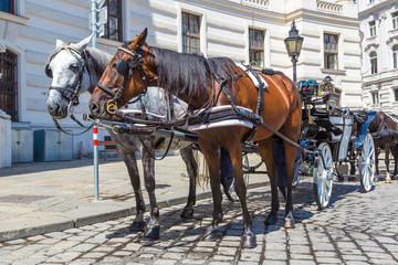 Obraz na płótnie Canvas Horse carriage in Vienna, Austria