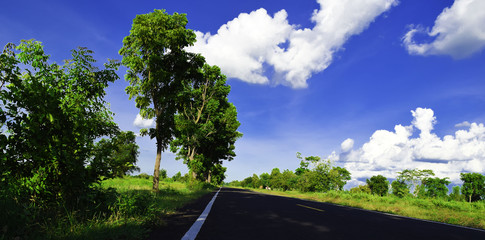 Green tree, white cloud, blue sky, indigo sky Road of beauty of Thailand