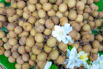 Longan Fruit in Northern Thailand