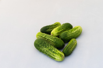 Cucumbers - home garden harvest