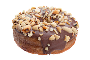 Chocolate donut witj nut