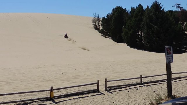 Dune and Dune Buggie