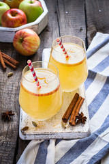 Autumn apple cider cocktail with spices and apple slices. Selective focus