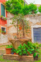 Views on courtyard patio in the most beautiful city in the word - Venice, narrow streets, house, palnt, flower pots. Venice. Italy.
