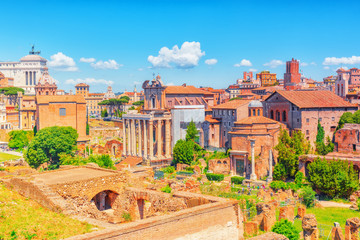 Fototapeta na wymiar Archaeological and historical objects in Rome, united by the name - Roman Forum and Palatine Hill.