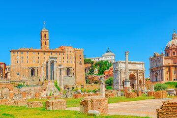 Archaeological and historical objects in Rome, united by the name - Roman Forum and Palatine Hill.