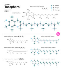 Structural chemical molecular formula and model of Tocopherol. Atoms are represented as spheres with color coding isolated on background. 2d, 3d visualization and skeletal formula. Vector illustration