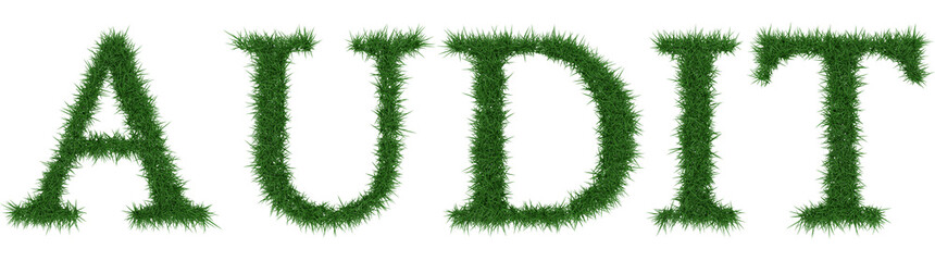 Audit - 3D rendering fresh Grass letters isolated on whhite background.