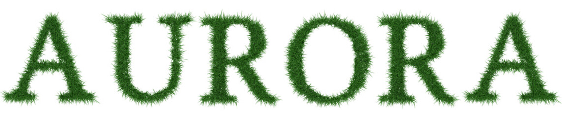 Aurora - 3D rendering fresh Grass letters isolated on whhite background.