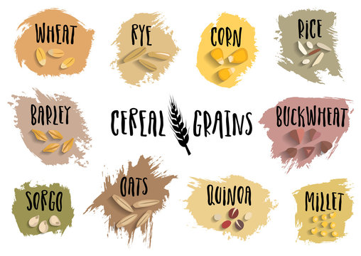 Vector set of cereal emblems with black handwritten lettering and hand-drawn stylized grains. For packing groats, advertising healthy food.