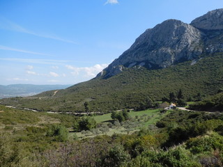 Fototapeta na wymiar Mountain landscape at the national park of Parnitha Greece.