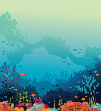 Underwater sea - coral reef, arch, fishes.