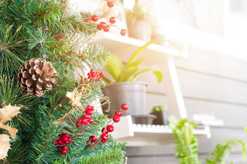 Christmas trees Decoration in coffee shop.