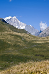 Fototapeta premium Il Monte Bianco,si erge maestoso sopra i verdi pascoli