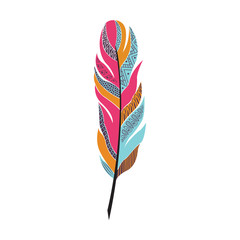 large colored bright feather with patterns