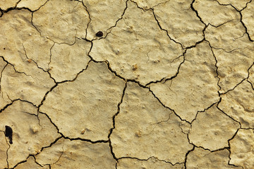 Texture dry dirt close up