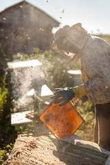 Beekeeper is working with bees and beehives on the apiary. Beekeeper on apiary.