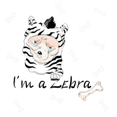 Cute dog wearing like zebra with slogan. Vector baby patch for fashion apparels, t shirt, stickers, embroidery and printed tee design.