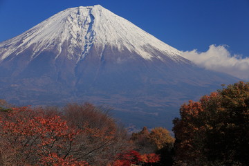 晩秋の朝霧高原からの富士山