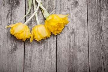 Poster tre gula tulpaner på trä bakgrund med utrymme för een text, grunge framkallat © annaia
