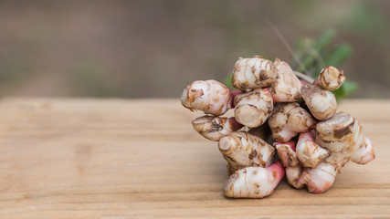 Galanga, Greater Galangal, Thailand herb has medicinal properties and Cooking ingredients,