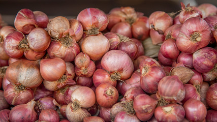 onion in the market