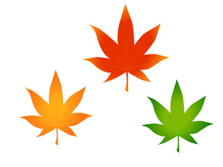 もみじ　セット