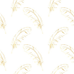 Seamless pattern golden hand-drawn feathers on a white background. Vector