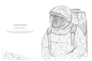 Abstract mash line and point astronavt on background with an inscription. Starry sky or space, consisting of stars and the universe. Vector cosmos and space illustration © AntonKhrupinArt