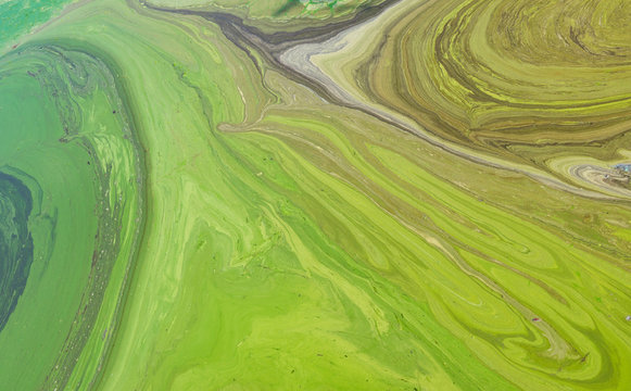 Natural patterns on Ukrainian river Dnepr covered by cyanobacterias as a result of phytoplankton evolution in hot seasons