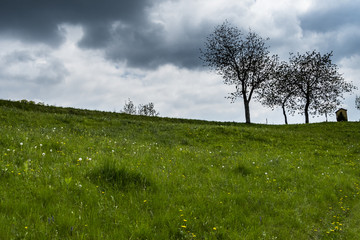 Montagna, Lessini, Verona, Paesaggio