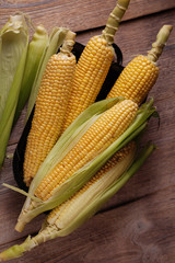 Corn on a dark background