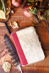quill pen on a vintage old book on a wooden background